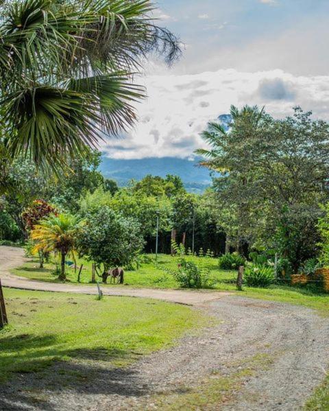 Linda Casa De Verano Con Amplias Zonas Verdes San Isidro De El General Luaran gambar